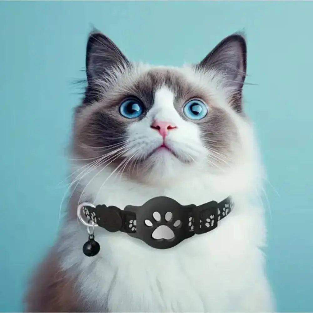 Collier GPS pour Chat — Localisation en Temps Réel