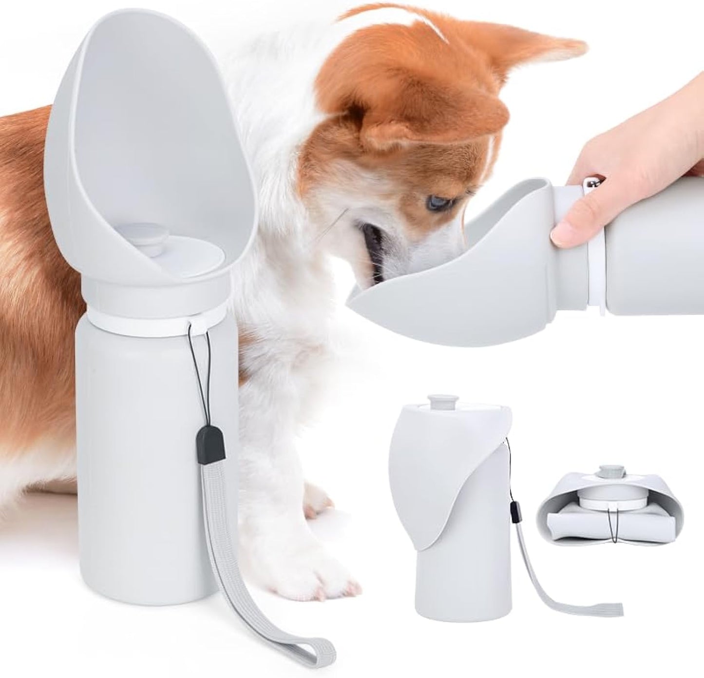 Gourde Pliable pour Chien — Légère, Étanche & Compacte