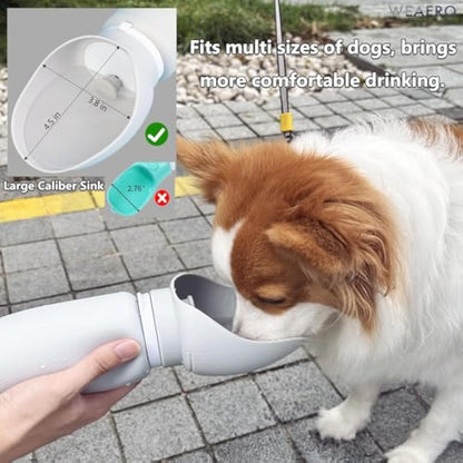 Gourde Pliable pour Chien — Légère, Étanche & Compacte